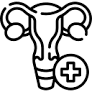 kidney-image